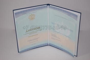 Диплом Техникума 2023г СпецБланк в Нальчике
