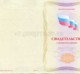 Свидетельство о Профессии Рабочего "Авиационный механик(техник)по приборам и электрооборудованию" в Нальчике