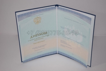 Диплом Техникума 2018г СпецБланк в Нальчике