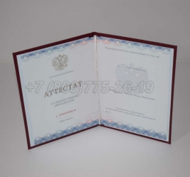 Аттестат За 11 Класс 2022г Золото ГОЗНАК в Нальчике